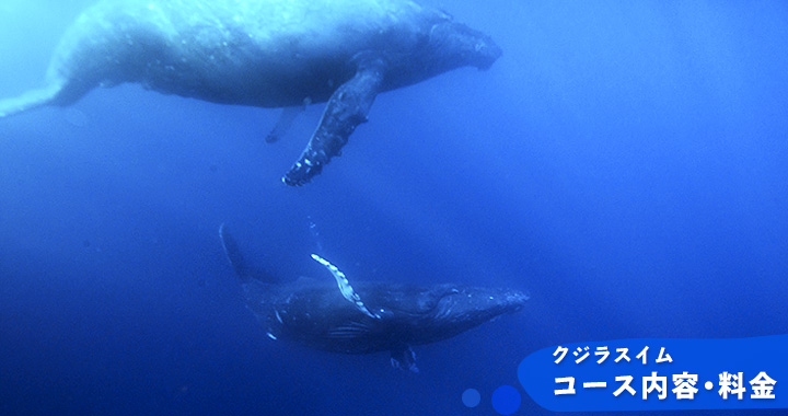 コース内容・料金